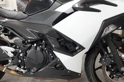 2024 Kawasaki Ninja 500   - Photo 14 - Kingman, KS 67068