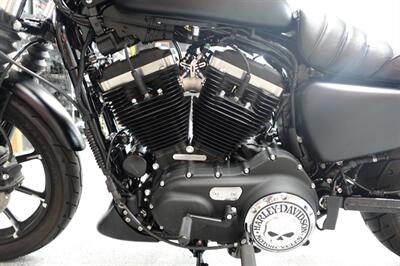 2020 Harley-Davidson Sportster 883 Iron - Photo 19 - Kingman, KS 67068