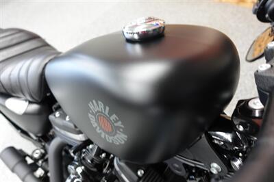 2020 Harley-Davidson Sportster 883 Iron - Photo 10 - Kingman, KS 67068
