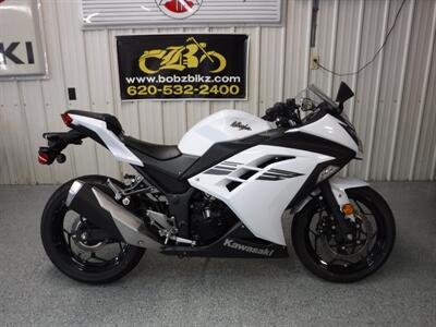 2017 Kawasaki Ninja 300   - Photo 1 - Kingman, KS 67068