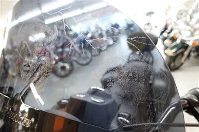 2018 Indian Springfield Darkhorse - Photo 36 - Kingman, KS 67068