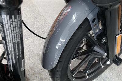 2022 Harley-Davidson Sportster 883 Iron   - Photo 10 - Kingman, KS 67068