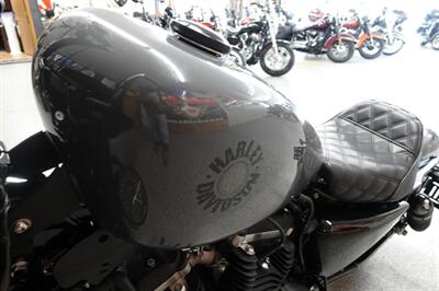 2022 Harley-Davidson Sportster 883 Iron   - Photo 24 - Kingman, KS 67068