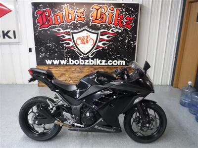 2013 Kawasaki Ninja 300   - Photo 1 - Kingman, KS 67068