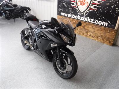 2013 Kawasaki Ninja 300   - Photo 3 - Kingman, KS 67068