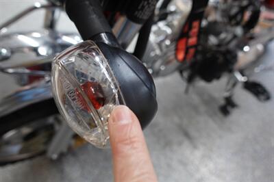 2025 Ice Bear Champion   - Photo 13 - Kingman, KS 67068