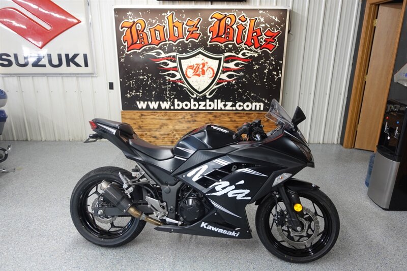 2017 Kawasaki Ninja 300   - Photo 1 - Kingman, KS 67068