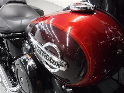 2019 Harley-Davidson Heritage Softail Classic - Photo 13 - Kingman, KS 67068