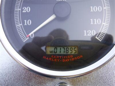 2006 Harley-Davidson Springer Softail Trike   - Photo 13 - Kingman, KS 67068