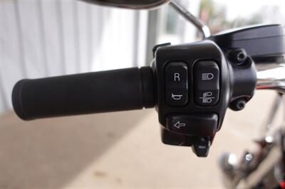 2017 Harley-Davidson Freewheeler   - Photo 44 - Kingman, KS 67068