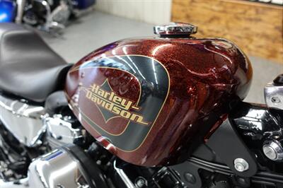 2013 Harley-Davidson Sportster 1200 Seventy-Two - Photo 10 - Kingman, KS 67068