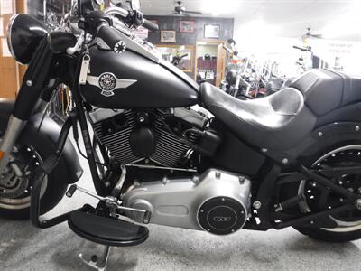 2012 Harley-Davidson Fat Boy Lo   - Photo 24 - Kingman, KS 67068