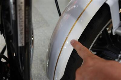 2007 Harley-Davidson Sportster 1200 Low - Photo 10 - Kingman, KS 67068