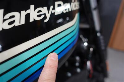 2019 Harley-Davidson Sportster 1200 Iron - Photo 13 - Kingman, KS 67068