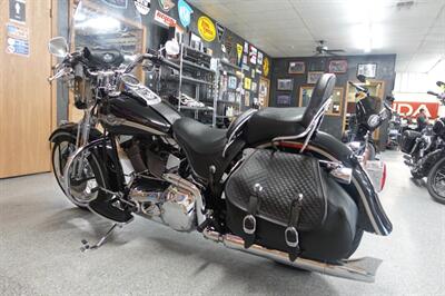2003 Harley-Davidson Heritage Springer 100th Anniversary Edition - Photo 6 - Kingman, KS 67068