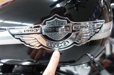 2003 Harley-Davidson Heritage Springer 100th Anniversary Edition - Photo 13 - Kingman, KS 67068