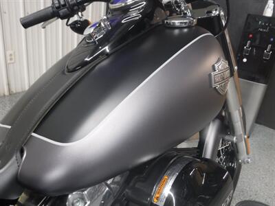 2017 Harley-Davidson Softail Slim   - Photo 13 - Kingman, KS 67068
