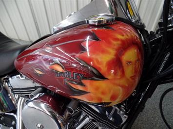 2007 Harley-Davidson Softail Custom   - Photo 9 - Kingman, KS 67068