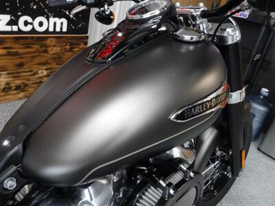 2021 Harley-Davidson Softail Slim   - Photo 13 - Kingman, KS 67068
