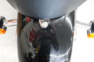 2007 Harley-Davidson Sportster 883 Custom   - Photo 35 - Kingman, KS 67068