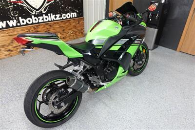 2013 Kawasaki Ninja 300 ABS - Photo 8 - Kingman, KS 67068