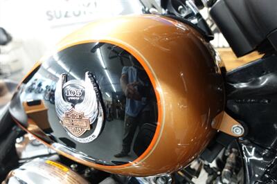 2008 Harley-Davidson Street Glide - Photo 33 - Kingman, KS 67068