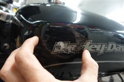 2015 Harley-Davidson Sportster 883 Superlow - Photo 31 - Kingman, KS 67068