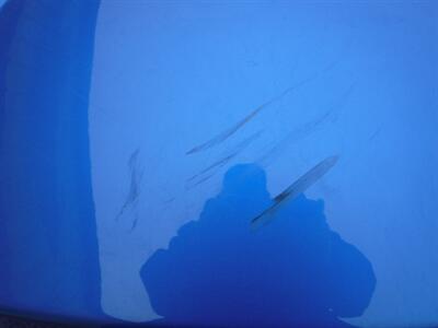 2018 Harley-Davidson Freewheeler   - Photo 15 - Kingman, KS 67068