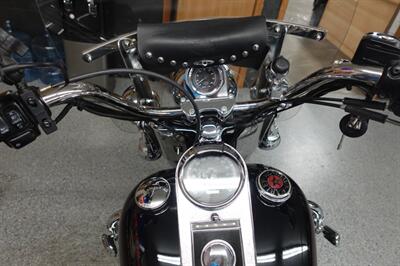 2002 Harley-Davidson Heritage Softail Classic - Photo 46 - Kingman, KS 67068