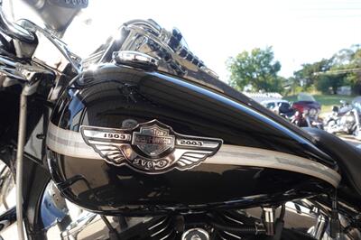 2003 Harley Davidson Road King Classic Trike Frankenstein   - Photo 32 - Kingman, KS 67068