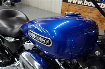 2009 Harley-Davidson Sportster 1200 Low - Photo 15 - Kingman, KS 67068