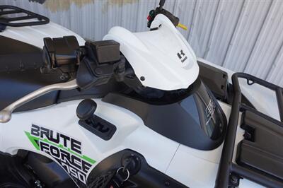 2019 Kawasaki Brute Force 750 4x4i   - Photo 13 - Kingman, KS 67068
