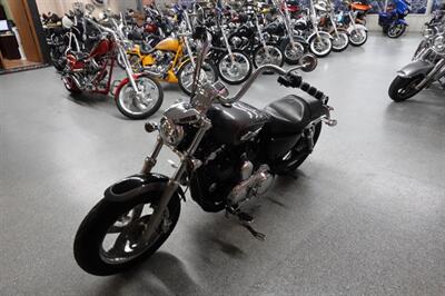 2014 Harley-Davidson Sportster 1200 Custom - Photo 4 - Kingman, KS 67068