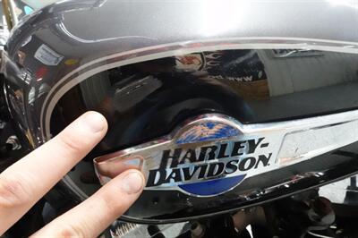 2014 Harley-Davidson Sportster 1200 Custom - Photo 29 - Kingman, KS 67068