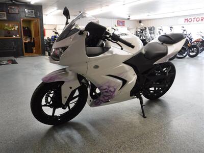 2011 Kawasaki Ninja 250   - Photo 19 - Kingman, KS 67068