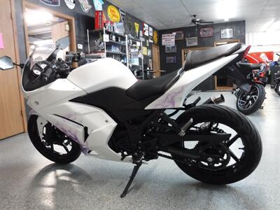 2011 Kawasaki Ninja 250   - Photo 20 - Kingman, KS 67068