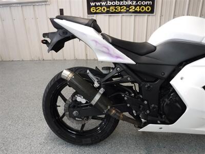 2011 Kawasaki Ninja 250   - Photo 9 - Kingman, KS 67068