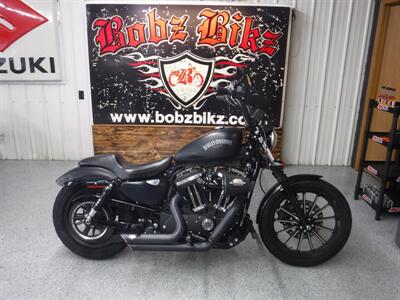 2015 Harley-Davidson Sportster 883 Iron   - Photo 1 - Kingman, KS 67068