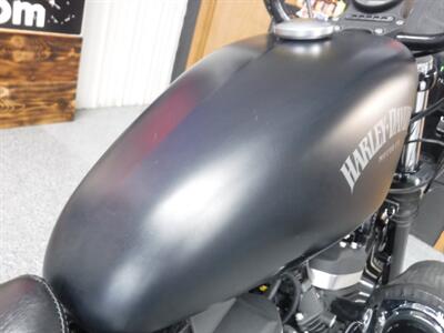 2015 Harley-Davidson Sportster 883 Iron   - Photo 17 - Kingman, KS 67068