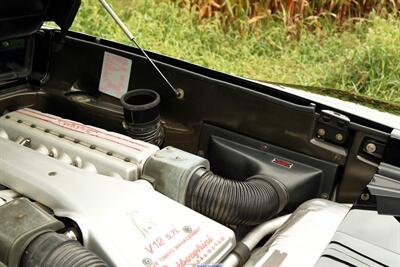 1998 Lamborghini Diablo SV   - Photo 92 - Rockville, MD 20850