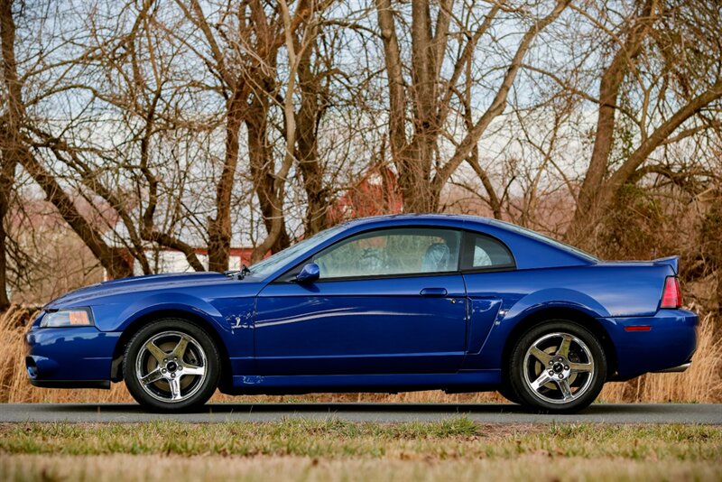 2003 Ford Mustang SVT Cobra   - Photo 5 - Rockville, MD 20850