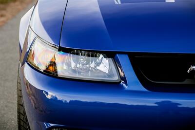 2003 Ford Mustang SVT Cobra   - Photo 18 - Rockville, MD 20850