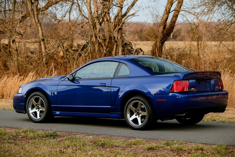 2003 Ford Mustang SVT Cobra   - Photo 4 - Rockville, MD 20850