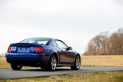 2003 Ford Mustang SVT Cobra   - Photo 12 - Rockville, MD 20850