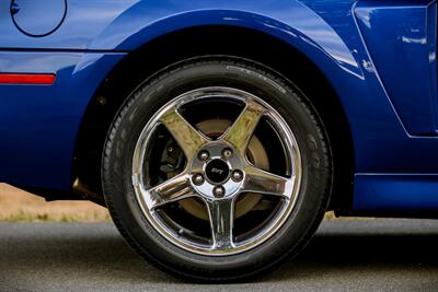 2003 Ford Mustang SVT Cobra   - Photo 45 - Rockville, MD 20850