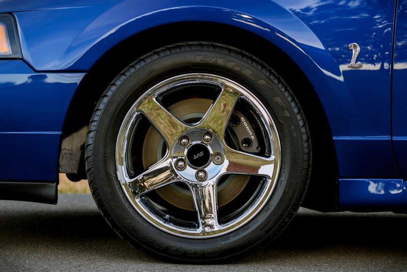 2003 Ford Mustang SVT Cobra   - Photo 46 - Rockville, MD 20850