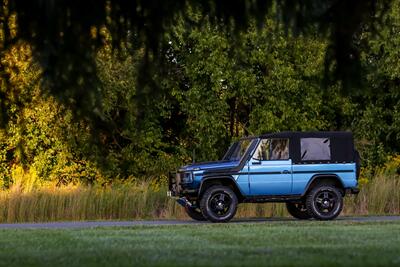 1990 Mercedes-Benz 250GD Wolf   - Photo 20 - Rockville, MD 20850