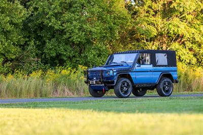 1990 Mercedes-Benz 250GD Wolf   - Photo 19 - Rockville, MD 20850