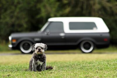 1972 Chevrolet Blazer K5   - Photo 12 - Rockville, MD 20850