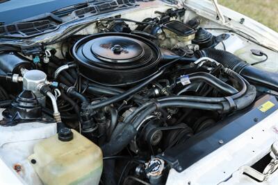 1986 Pontiac Firebird Trans Am   - Photo 87 - Rockville, MD 20850